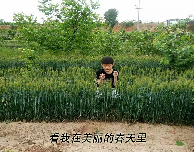 瑞奇特陳尊上個(gè)人照